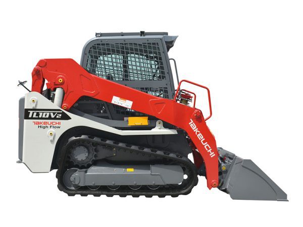 Minipala cingolata Takeuchi TL10V2